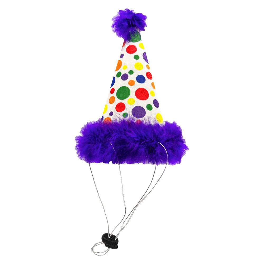 HUXLEY & KENT Party Hat Happy Barkday L