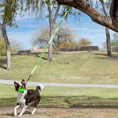 Jollypet Tree Tugger