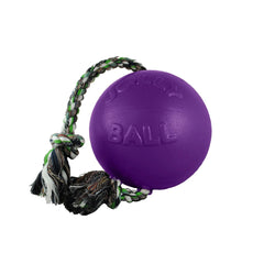 Jollypet Romp-N-Roll 4.5" Purple S