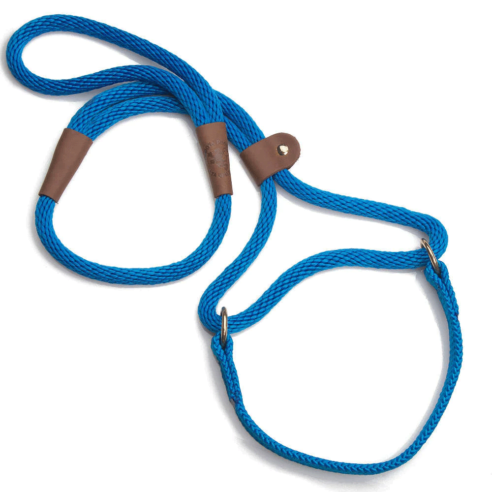 Mendota Big Dog Walker 1/2" x 6' Blue