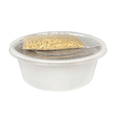 Multipet Catnip Garden Cat Grass Kit
