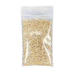 Multipet Catnip Garden Cat Grass Kit