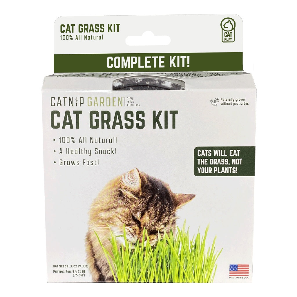 Multipet Catnip Garden Cat Grass Kit