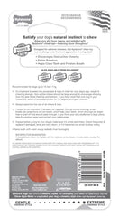 Nylabone Durachew Bacon Bone Petite