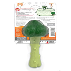 Nylabone Power Chew Broccoli Souper