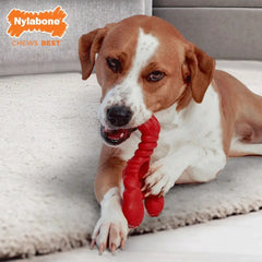 Nylabone Power Chew Lobster Souper