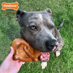 Nylabone Power Chew Pretzel Souper