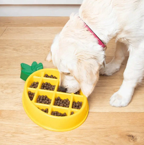 Zippypaws Happy Bowls Pinapple