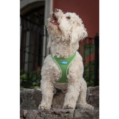 Plush Step In Air Mesh Harness - Grass Green 2X Small
