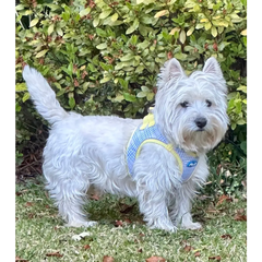 Plush Step In Harness Spring Plaid Large