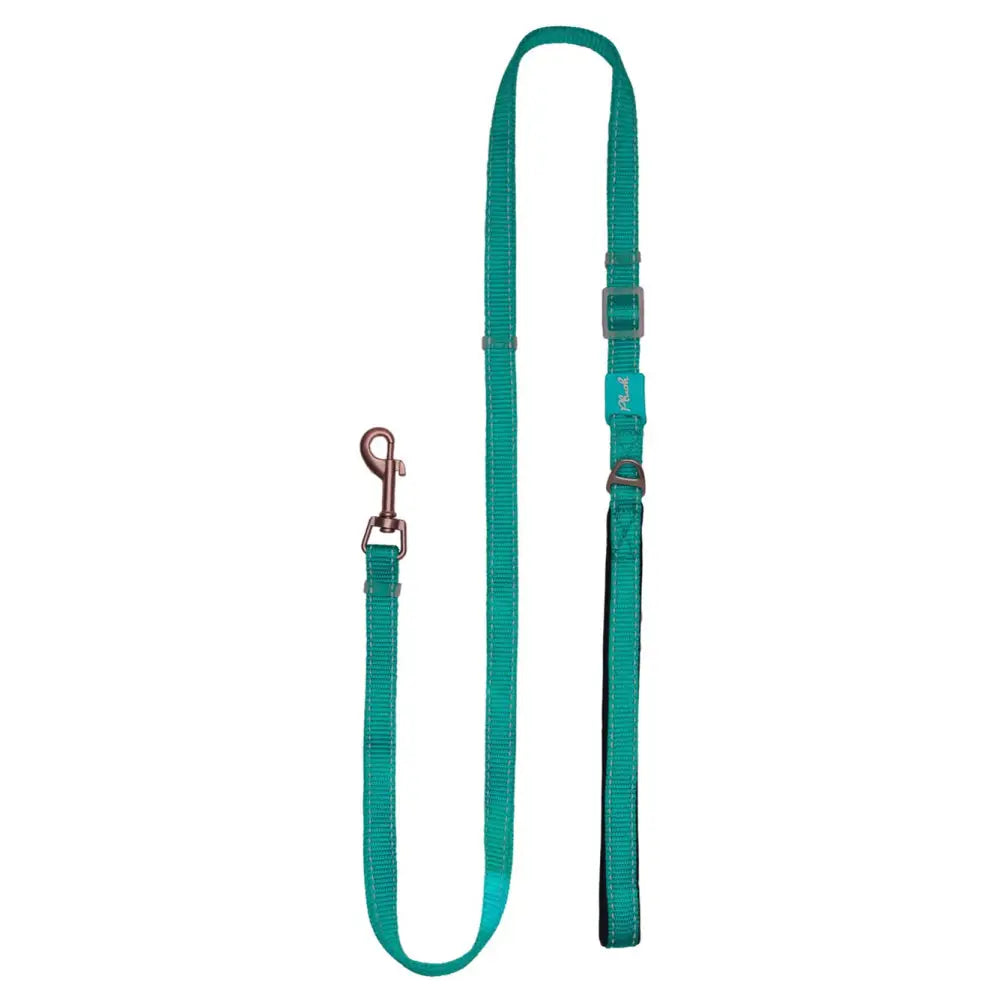 Plush Adjustable Reflective Leash Turquoise