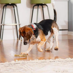 Stella & Chewy's Dog Dental Delights Small 11 Pack (Pack of 2)