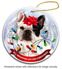 French Bulldog White & Black All Wrapped Up Ornament