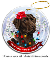 Labrador Chocolate (English) All Wrapped Up Ornament