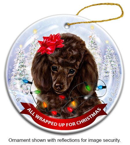Poodle Chocolate All Wrapped Up Ornament