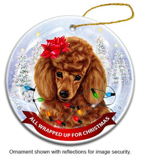 Poodle Red All Wrapped Up Ornament