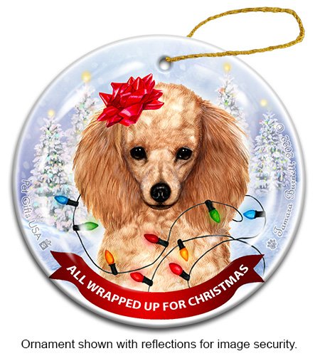 Poodle Apricot All Wrapped Up Ornament