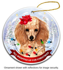 Poodle Apricot All Wrapped Up Ornament