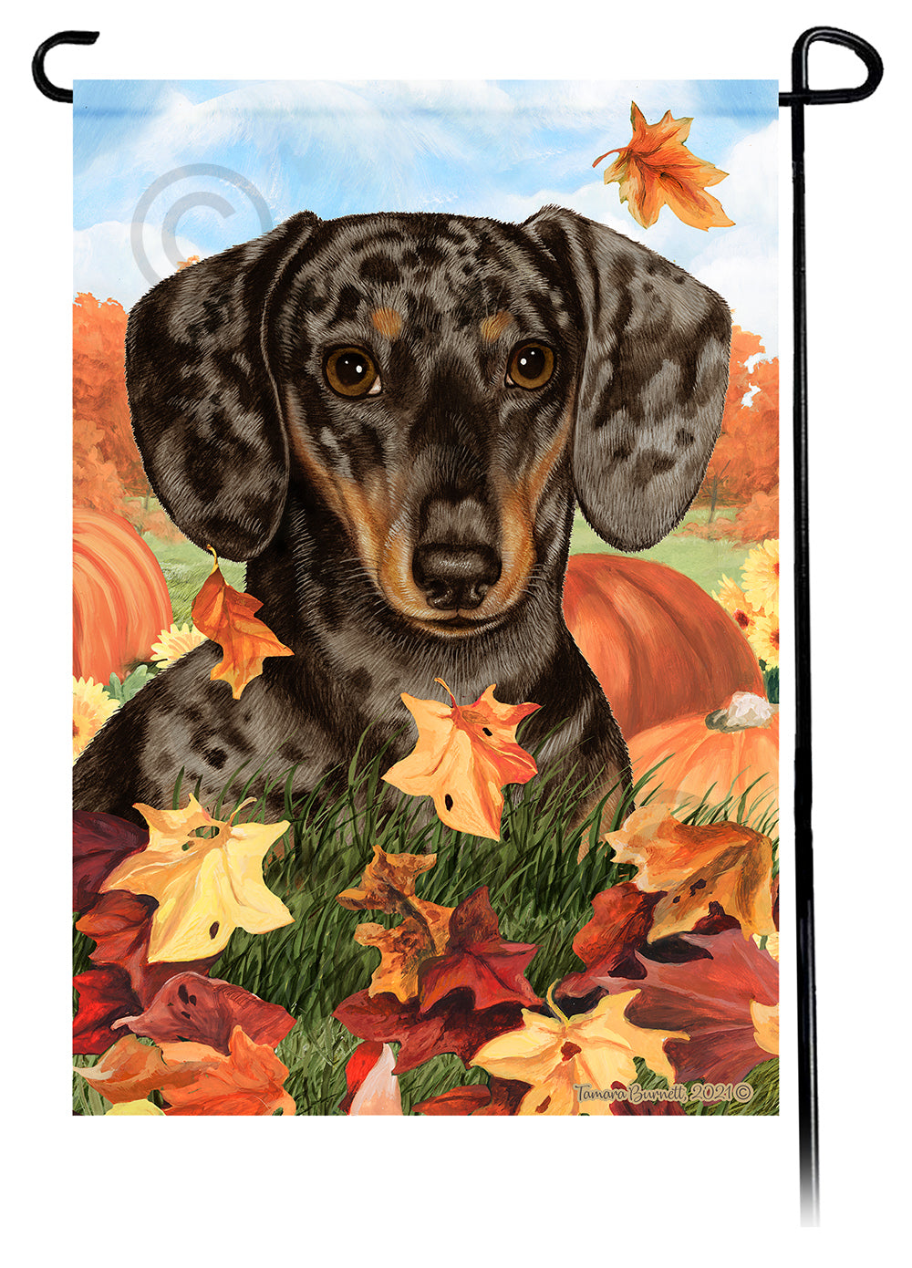 Dachshund SH Dapple Choc & Tan Falling Leaves - Garden Flag