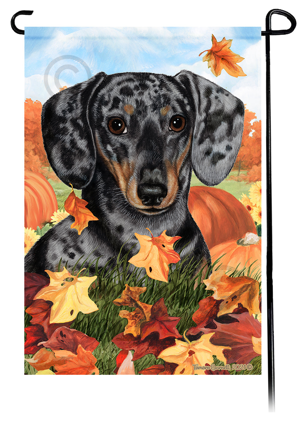 Dachshund Short Hair Dapple Light Black and Tan Falling Leaves - Garden Flag