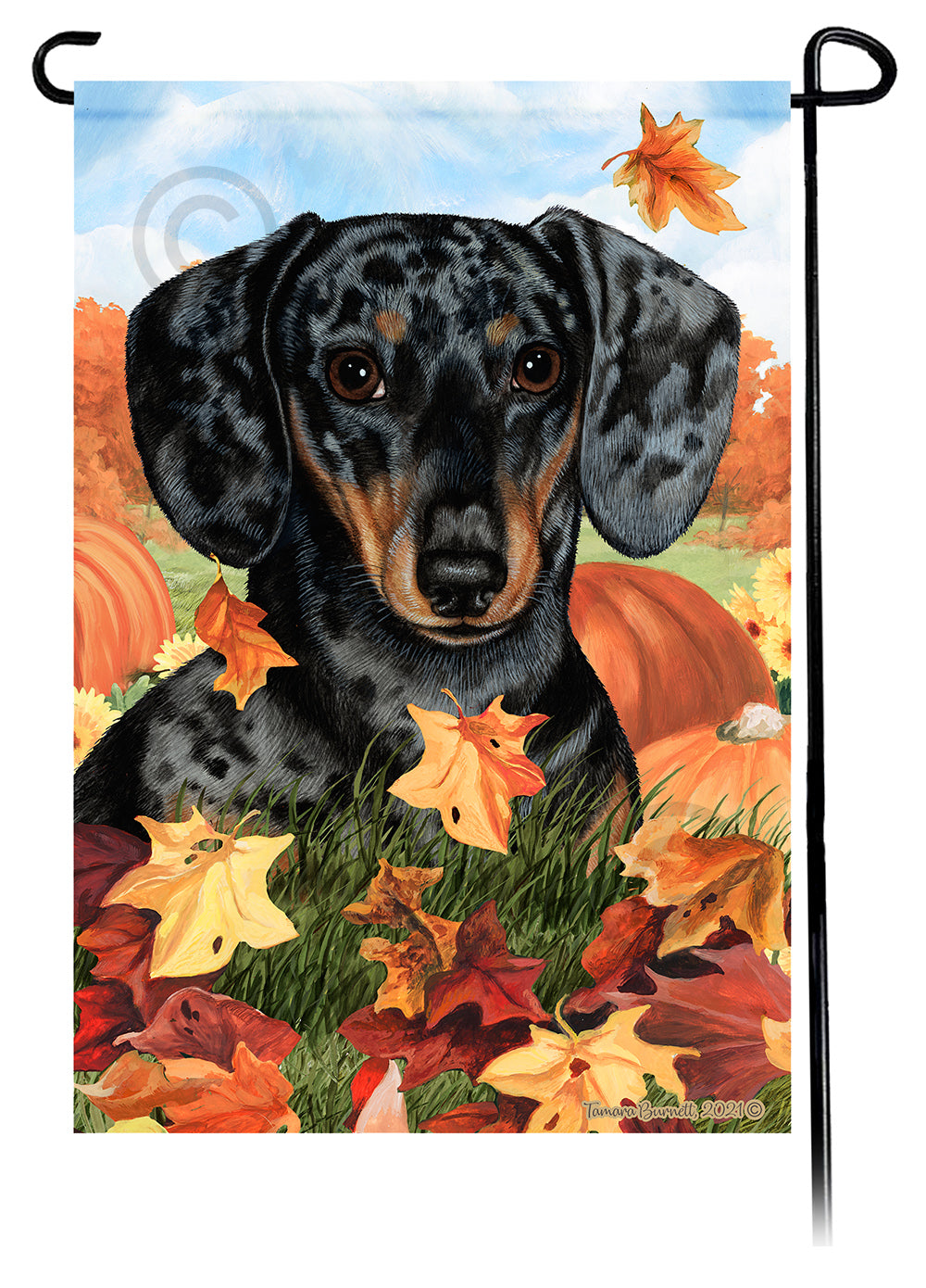 Dachshund Short Hair Dapple Dark Black and Tan Falling Leaves - Garden Flag
