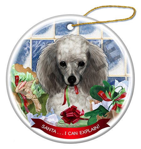 Poodle Silver - Santa I Can Explain Ornament