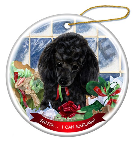 Poodle Black - Santa I Can Explain Ornament