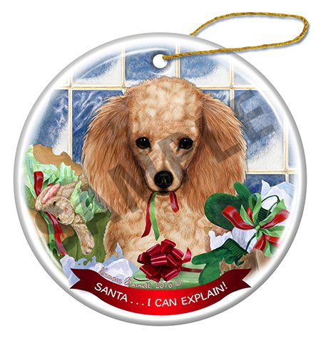 Poodle Apricot - Santa I Can Explain Ornament