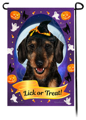 Dachshund (Wire Hair Black And Tan) - Halloween Howls Garden Flag