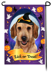 Dachshund (Wire Hair Wheaten) - Halloween Howls Garden Flag