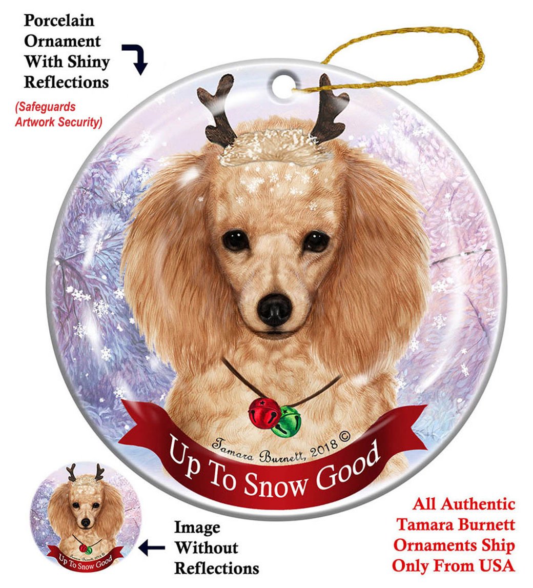 Poodle Apricot - Up To Snow Good Ornament