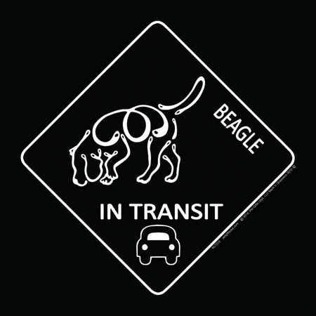 Beagle - K-Line In Transit Magnet