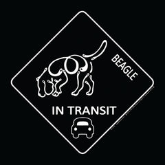 Beagle - K-Line In Transit Magnet