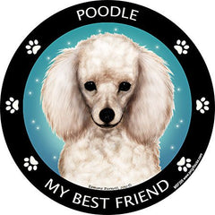 Poodle (White) - My Best Friends Magnet