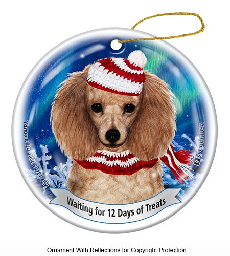 Poodle Apricot Series 5 Christmas Ornament
