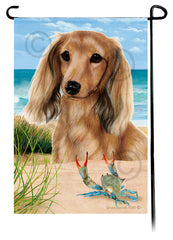 Dachshund Longhair Cream Summer Beach Garden Flag
