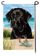 Labrador Retriever Black English Summer Beach Garden Flag