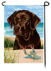 Labrador Retriever Chocolate English Summer Beach Garden Flag