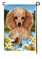 Poodle Apricot Summer Flowers Garden Flag