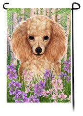 Poodle Apricot Spring Flowers Flag
