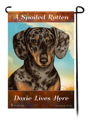 A Spoiled Rotten Dachshund Short Hair Dapple Chocolate and Tan Lives Here - Garden Flag