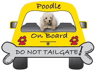Poodle (White) On Board - Do Not Tailgate Magnet