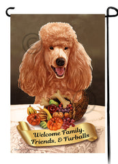 Poodle Standard Apricot Thanksgiving - Garden Flag