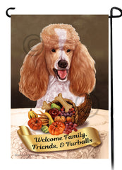 Poodle Standard Apricot and White Thanksgiving - Garden Flag