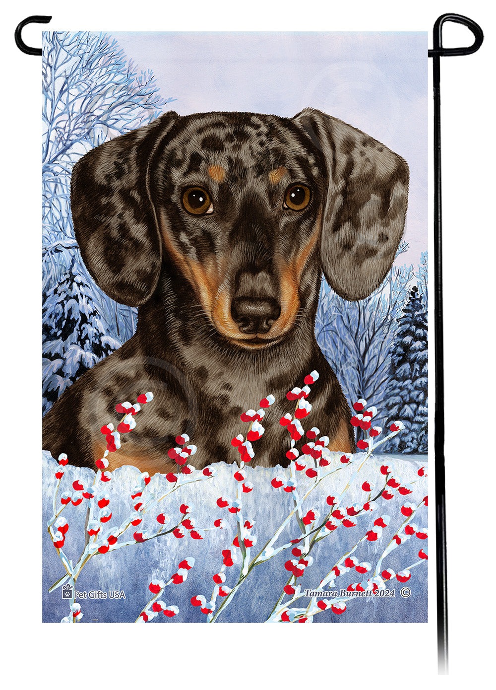 Dachshund (SH Chocolate And Tan Dapple) - Winterberries Garden Flag