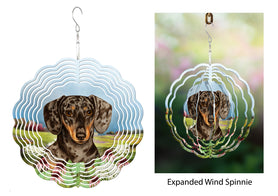 Dachshund (Shorthair, Chocolate And Tan Dapple) - Wind Spinner
