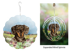 Dachshund (Shorthair, Chocolate And Tan Dapple) - Wind Spinner