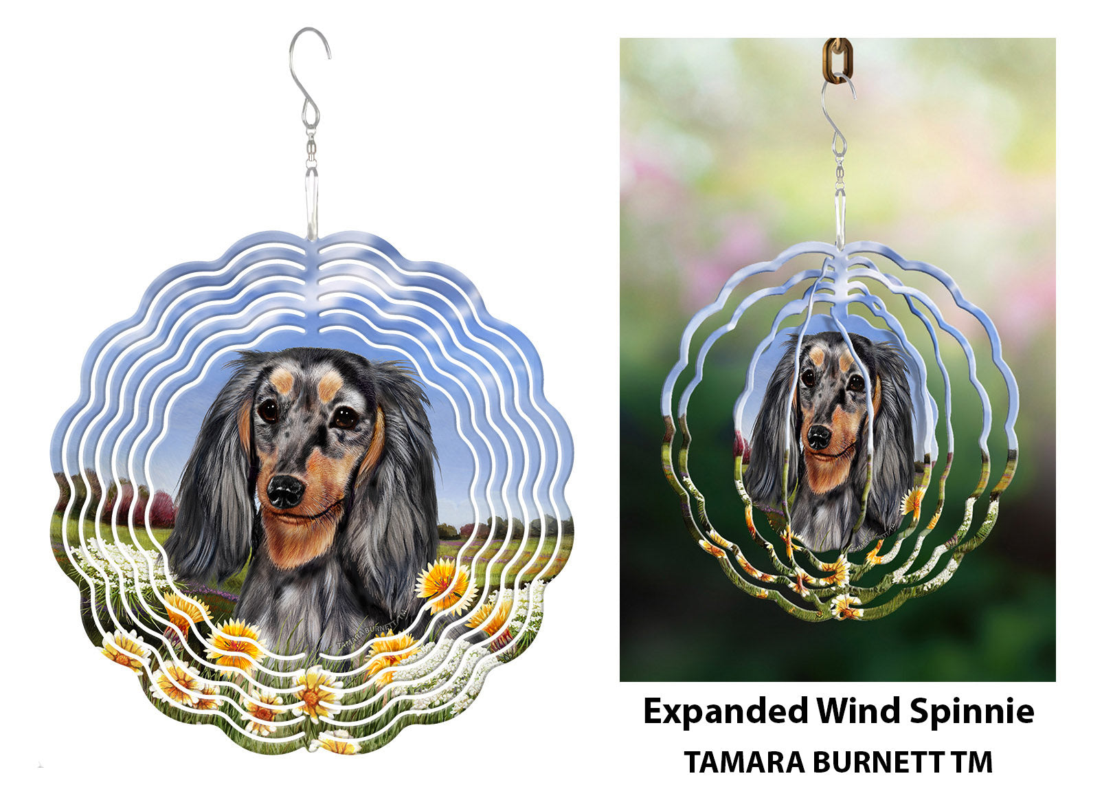 Dachshund (Longhair, Light Black And Tan Dapple) - Wind Spinner