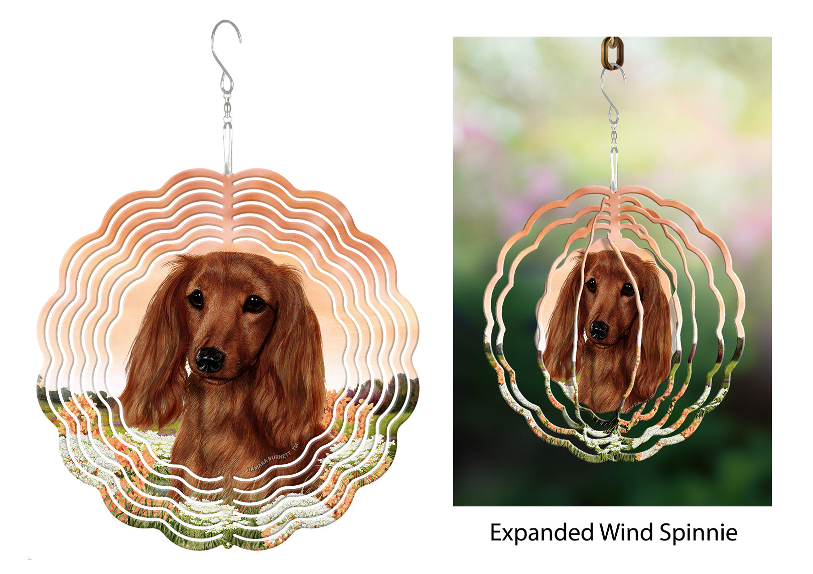 Dachshund (Longhair, Red) - Wind Spinner