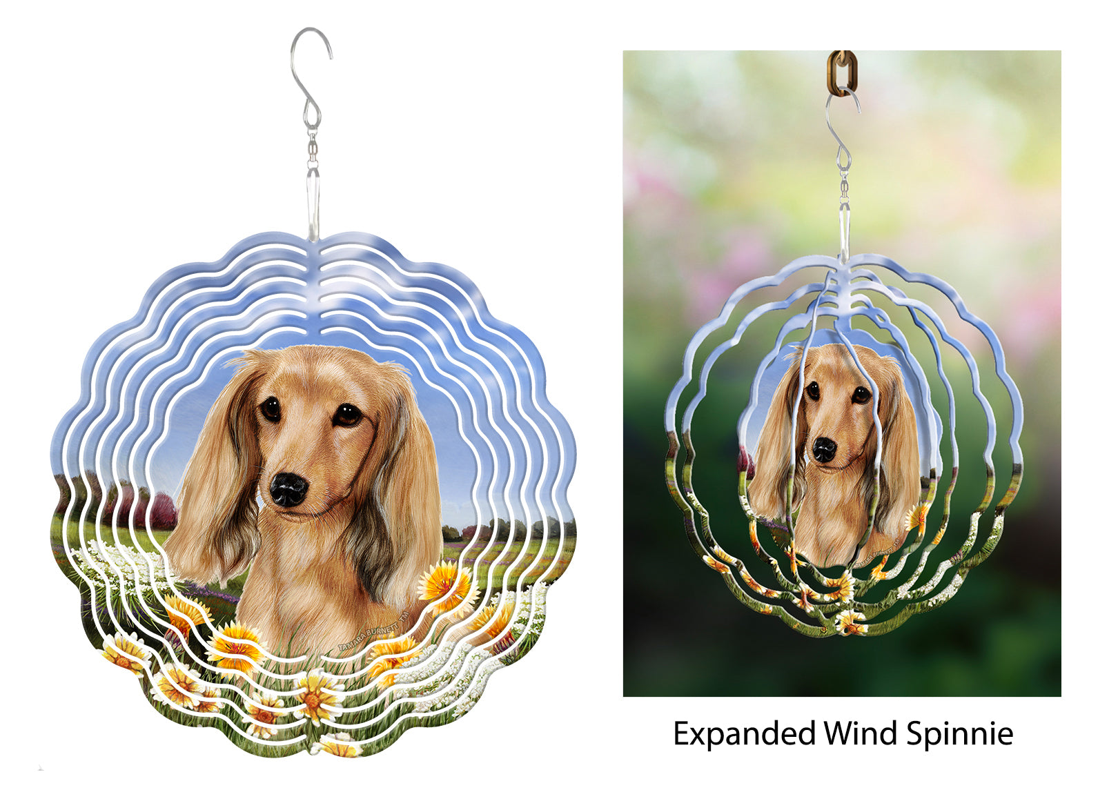 Dachshund (Longhair, English Cream) - Wind Spinner